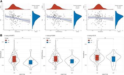 WGCNA and molecular docking identify hub genes for cardiac aging